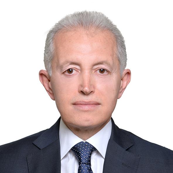 محمد احمد عكاوي